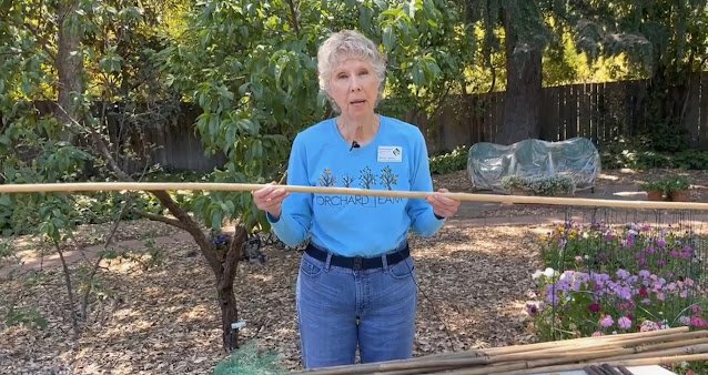 Woman in blue shirt holding a long bamboo pole