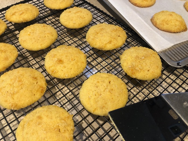 Orange olive-oil cookies