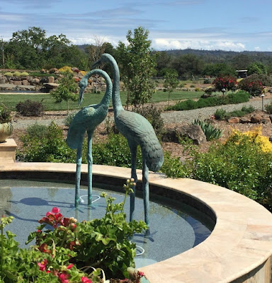 Garden with pond