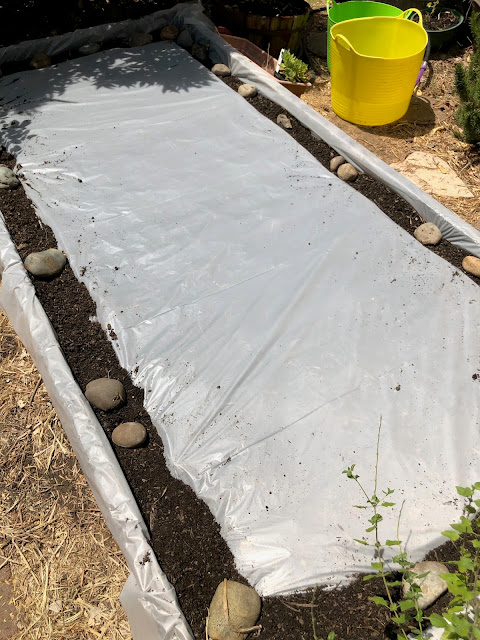 Raised bed covered with plastic