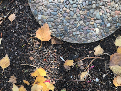 Stepping stone and leaves