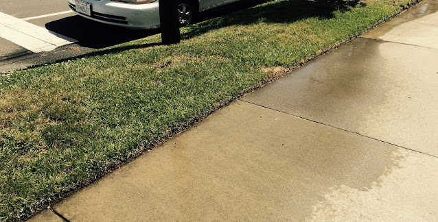 Sidewalk with water from sprinkler