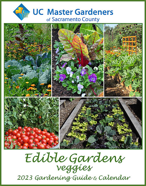 Calendar cover with five pictures of vegetables