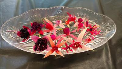 Fuchsia blossoms on a plate