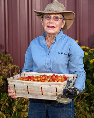 Suzanne Ashworth holding bin of cherry tomatoes