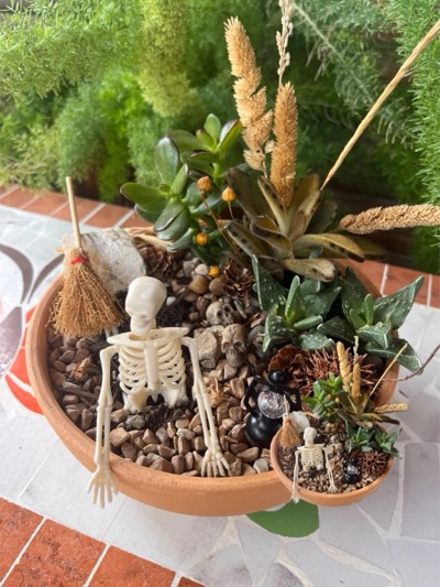 Succulent bowl with skeleton