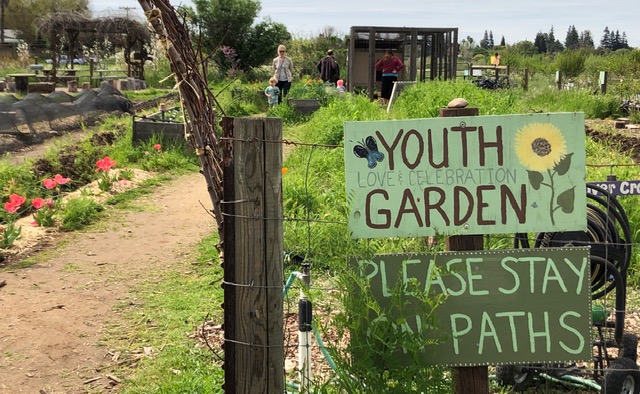 Soil Born farms youth garden