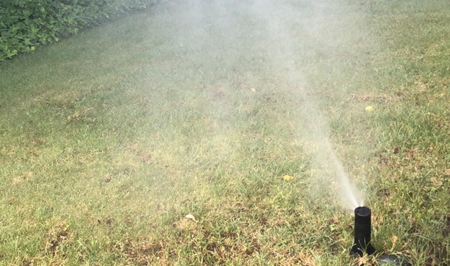 Sprinkler on lawn