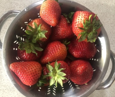 strawberries-colander.jpg