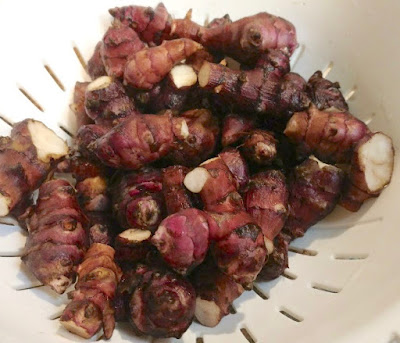 Sunchokes in colander