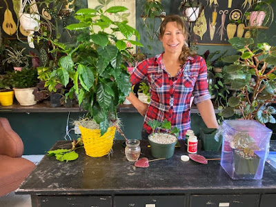 Woman standing at table with plants