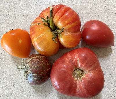 Five various tomatoes