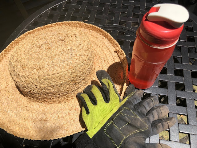 Hat, water bottle, gardening gloves