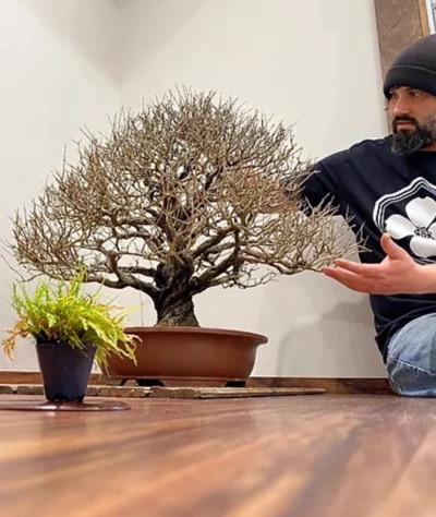 Man on floor with bonsai tree