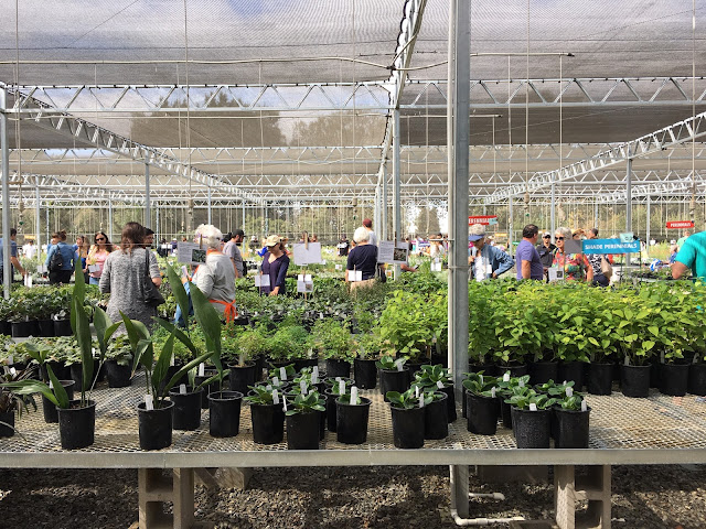 Arboretum plant sale