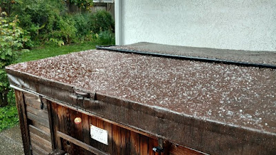 Pea-size hail on spa cover