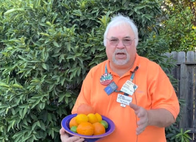 Man in bright orange shirt holds bowl of citrus fruit