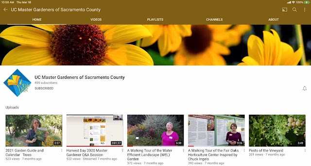 YouTube channel page for master gardeners