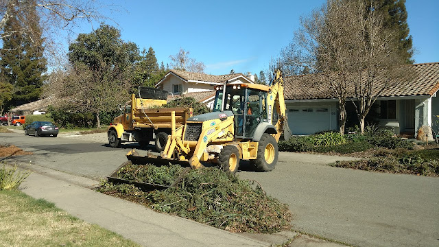 Tree cleanup