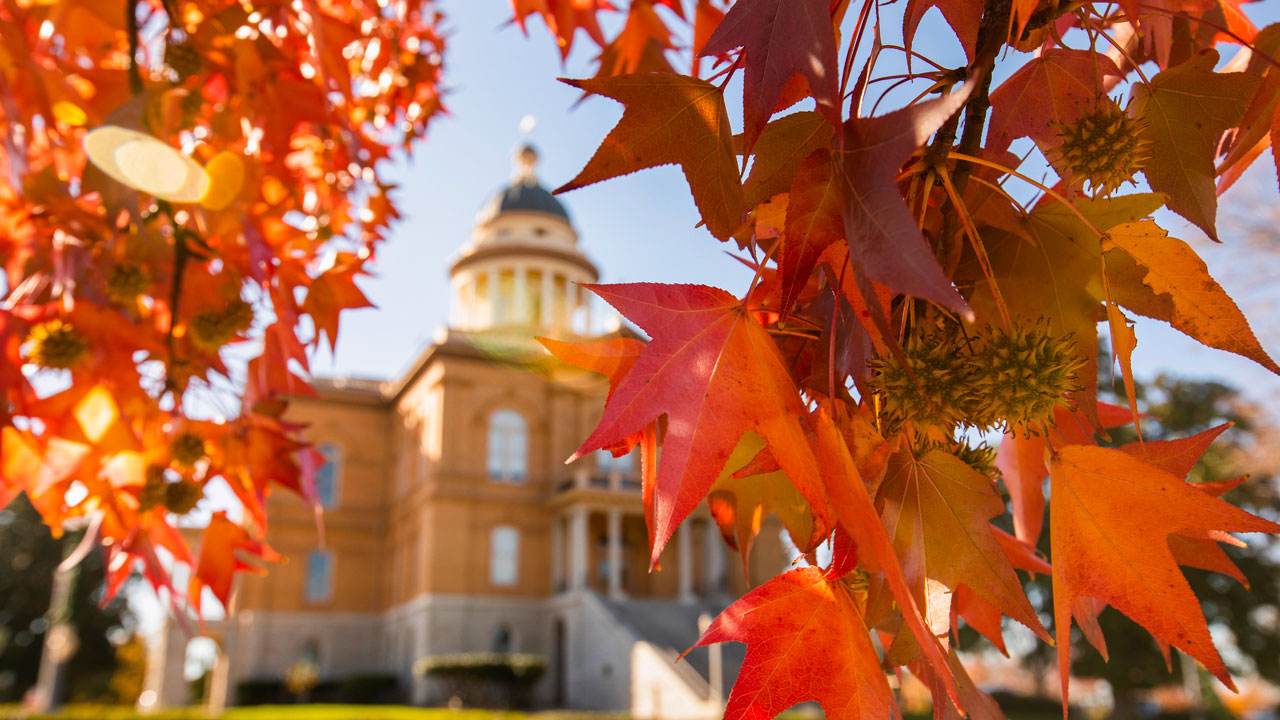 Auburn courthouse with a foreground of autumn leaves