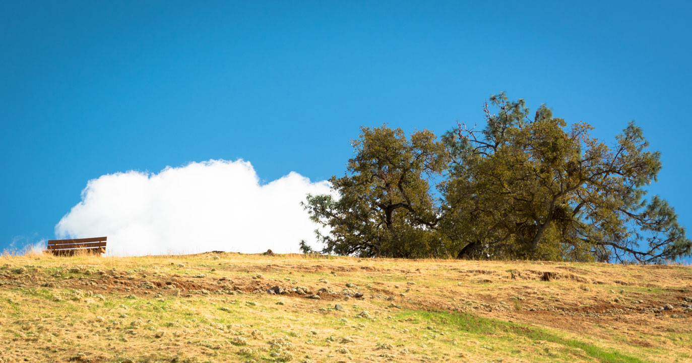 View of a ridge with an oak tree on the right side and a park bench on the left