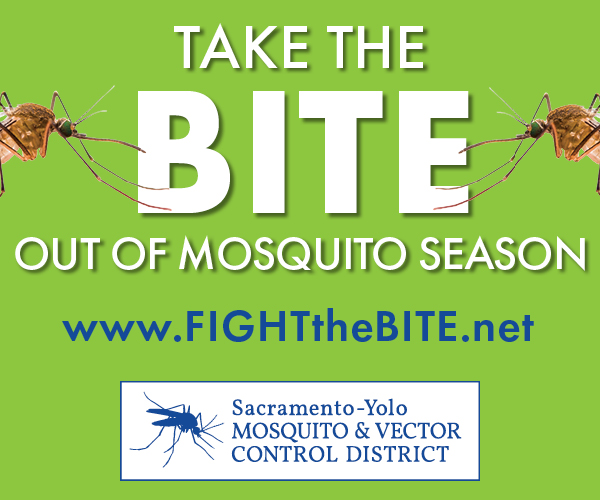 Picture of mosquito's on the Fight The Bite ad