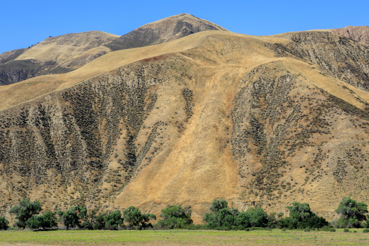 Dry hills above trees in a valley