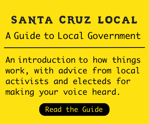 Ad for Santa Cruz Local guide to Government. Click here