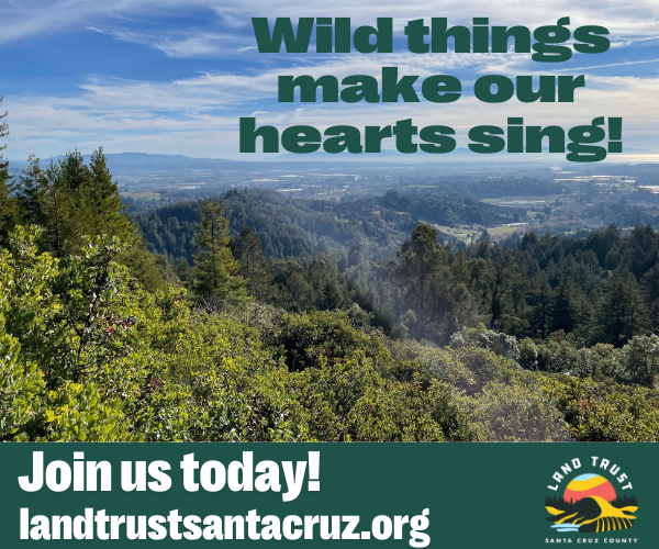 Ad for the Land Trust of Santa Cruz County.