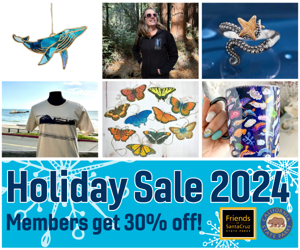 Ad for Friends of Santa Cruz State Parks Holiday Sale, December 7-8, 2024.