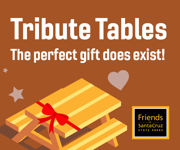 Tribute Table ad from Friends of Santa Cruz State Parks.