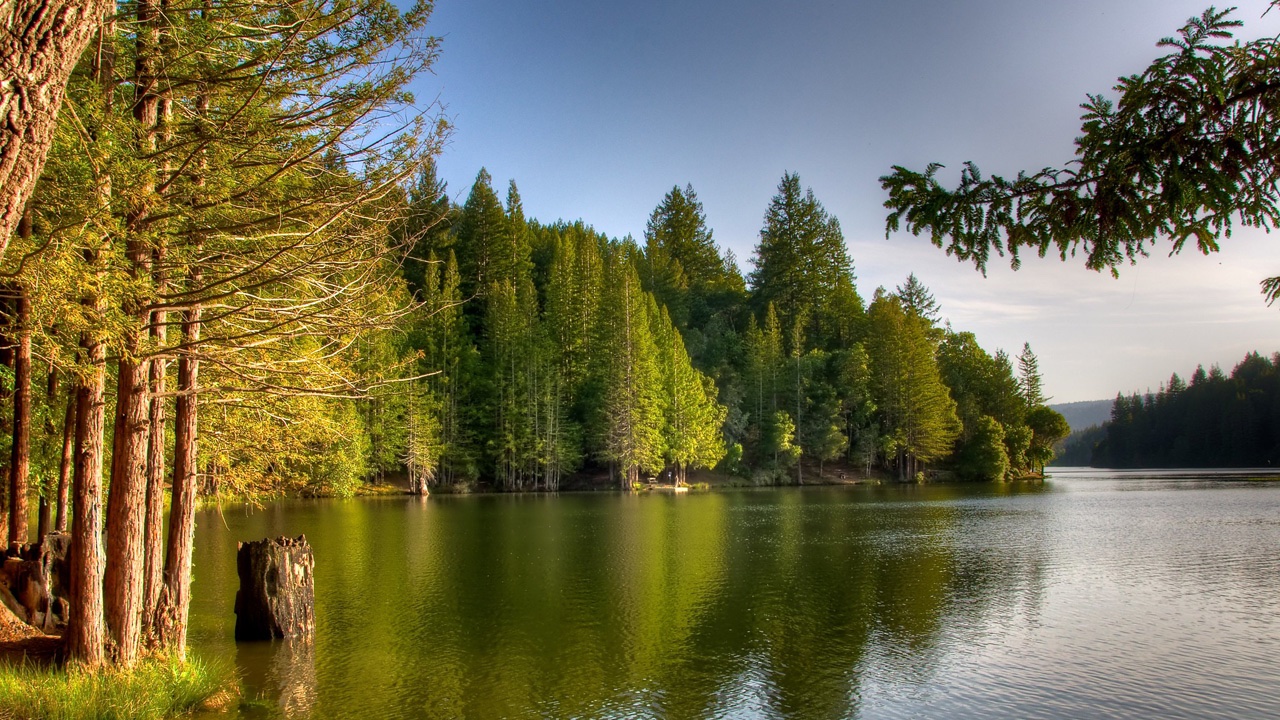 https://californialocal.com/static/media/uploads/santa-cruz/articles/1920-loch-lomond-santa-cruz.jpg