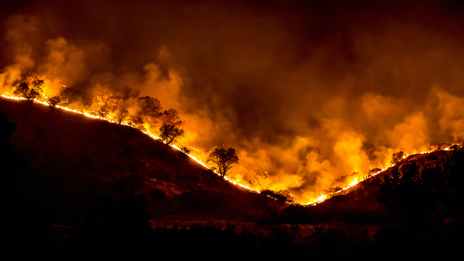 Homeowners Spend Big Bucks on Fireproofing But Insurers Won t