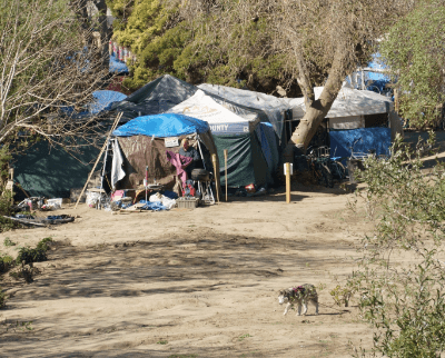 3944-homeless-camp-in-santa-cruz.png